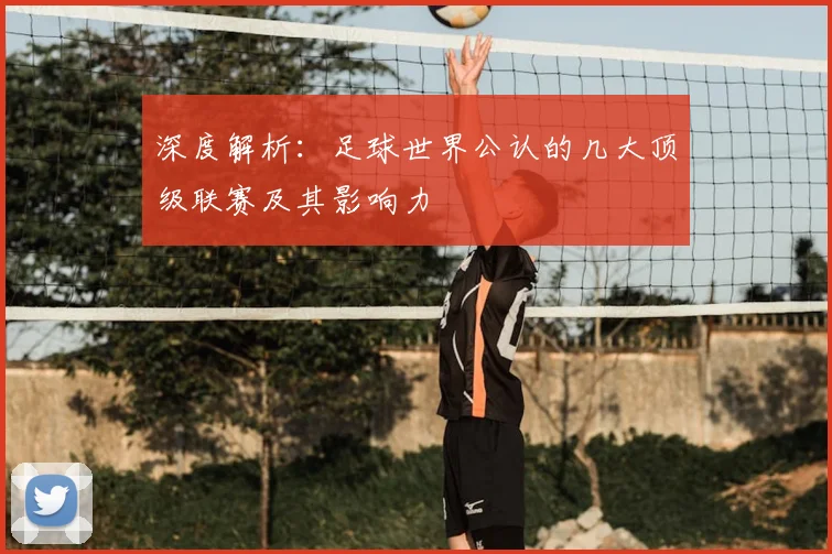 深度解析：足球世界公认的几大顶级联赛及其影响力