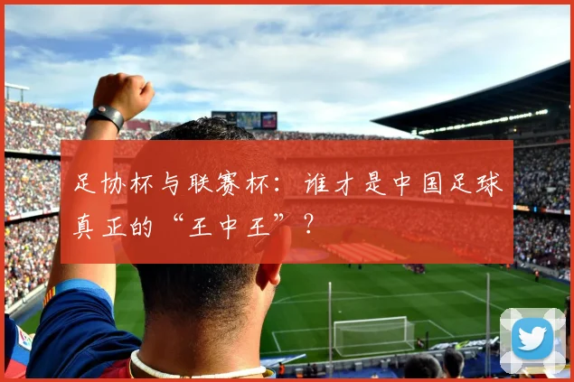 足协杯与联赛杯：谁才是中国足球真正的“王中王”？